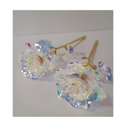 Iridescent Rose